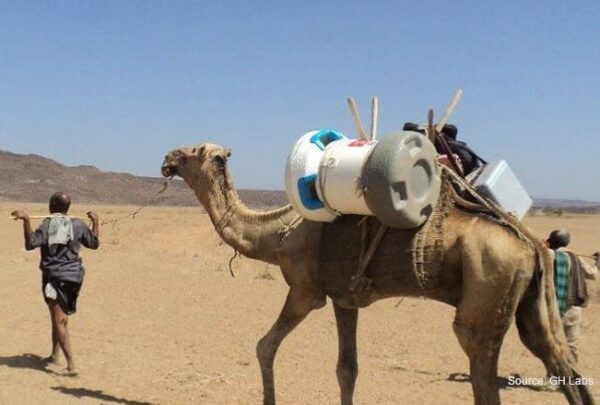 arktek df camel carrying
