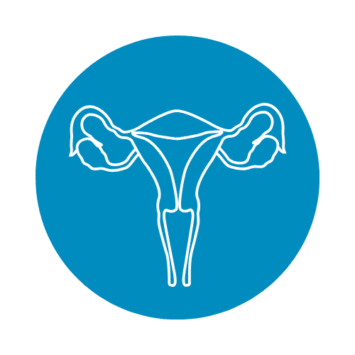 Womens reproductive health icon2